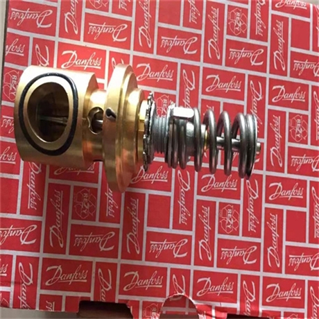 DANFOSS气体探测传感器EV225B10220V