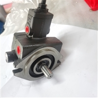 TA SHENG大生变量叶片泵VTA-F15-A3-T9花键油泵 液压泵
