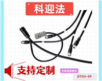 DT04-4P 定制监视器线束