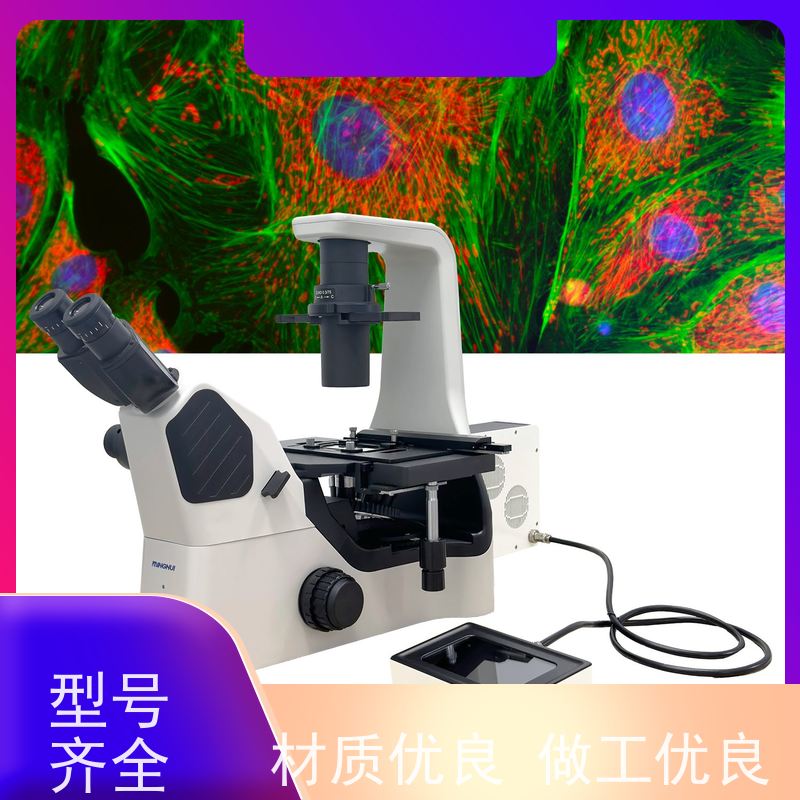 明慧科技 提供高度可重复性的实验结果 活体观察 高校 倒置萤光显微镜