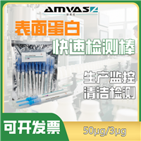 表面蛋白快速检测棒