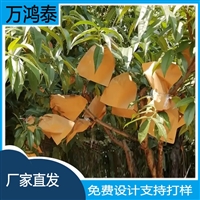 高热高降水地区种植地水果防水袋复合无菌套袋水蜜桃果袋丝瓜套袋