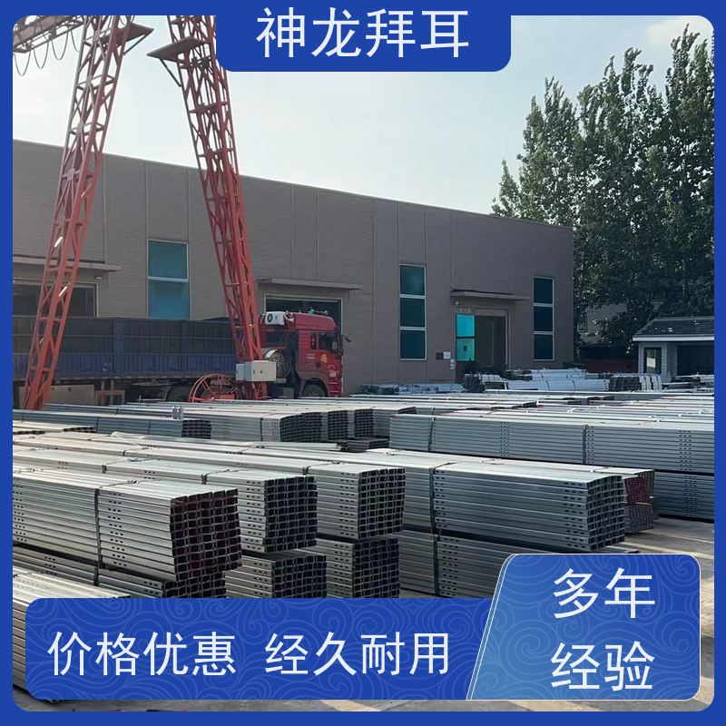 河北神龙拜耳 太阳能光伏支架成型机 沉浸式体验 多少钱
