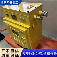 DXBL1536/127J型矿用隔爆型锂离子电源 在线式交流输出锂电池电源