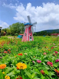 兰溪到广西汽车-客车票-有没有直达车