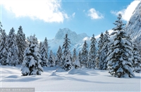 云霄到大丰汽车客车-电瓶车托运-需要多少钱