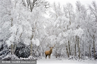云霄到大名汽车客车-电瓶车托运-需要多少钱