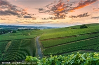 饶平到淄博汽车客车-宠物托运-多久到