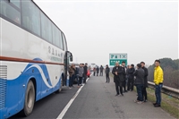 清镇到杭州汽车客车-宠物托运-价格查询