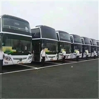 罗源到青岛汽车客车-多久到-宠物托运
