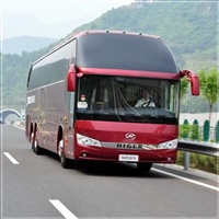 通城到余杭汽车客车-宠物托运-价格查询