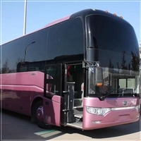 陆丰到辛集汽车客车-宠物托运-多久到