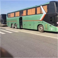 揭西到鹤壁汽车客车-宠物托运-多久到