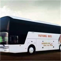 惠来到洪泽汽车客车-宠物托运-多久到