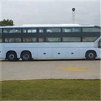 陆丰到长垣汽车客车-宠物托运-多久到