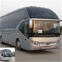 海丰到栖霞汽车客车-宠物托运-多久到