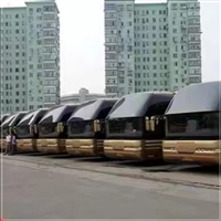 桃源到临安汽车客车-宠物托运-价格查询