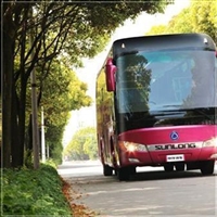 陆丰到太仓汽车客车-宠物托运-多久到