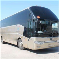 缙云到廊坊沧州豪华大巴-宠物托运