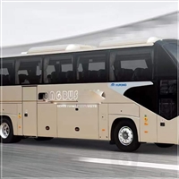 苏州到河北豪华汽车-电瓶车托运