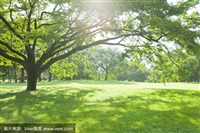 江浙沪客车:常州到范县汽车-客车多少钱价格查询