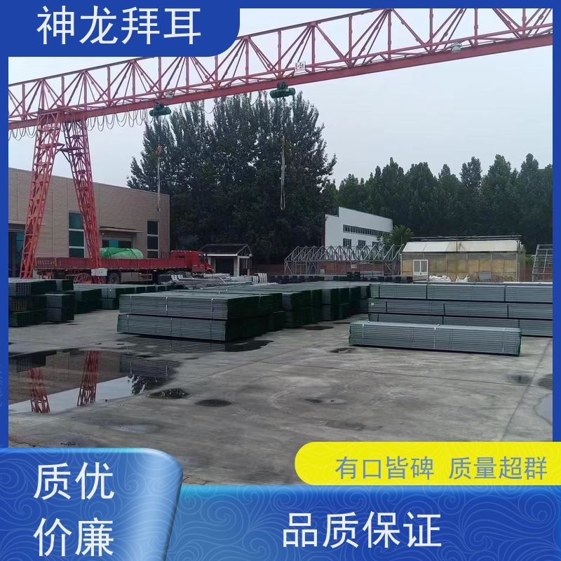 神龙拜耳 太阳能光伏支架成型机 24小时客服 品牌