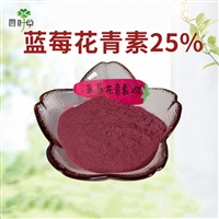 批发 蓝莓花青素25% 蓝莓提取物