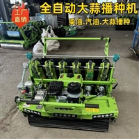 大蒜播种机新款柴油机 自走式种蒜机 手推电动农用精播机