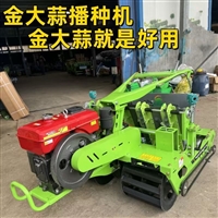 手推小型大蒜播种机 拖拉机牵引种蒜 新型电动种蒜农用机器