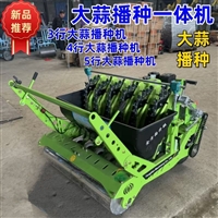 农用单行多行种蒜机 小型家用大蒜播种机 自走式电动柴油
