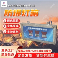 轻量化 防爆灯箱   轻便设计 防爆灯箱 DHS12LLED防爆灯箱