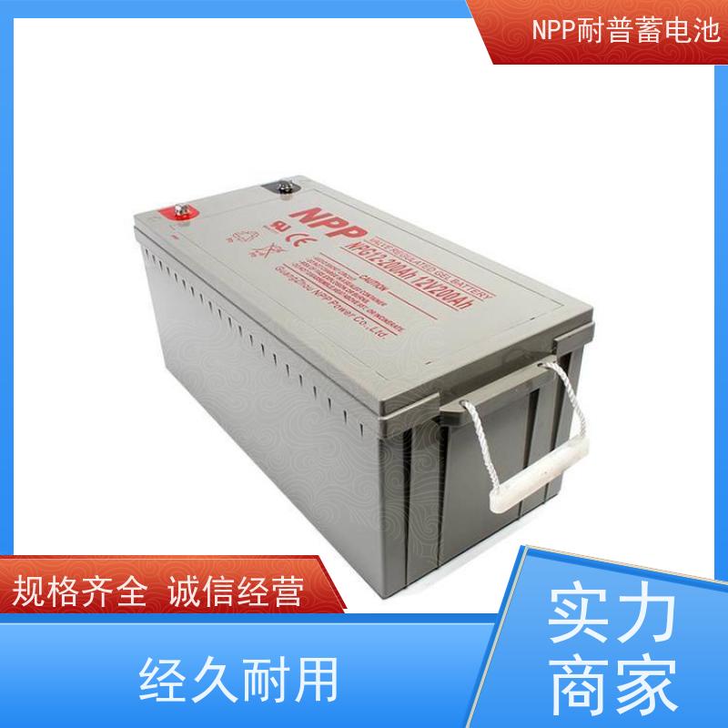 UPS电源电池 NPG12-200  铅酸胶体阀控式 维修维保服务
