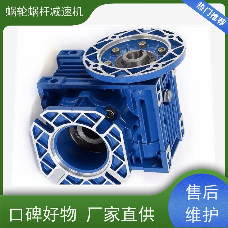 精密蜗轮减速机 RV110-100-SF180 二级能效电机 提升机 艾思捷