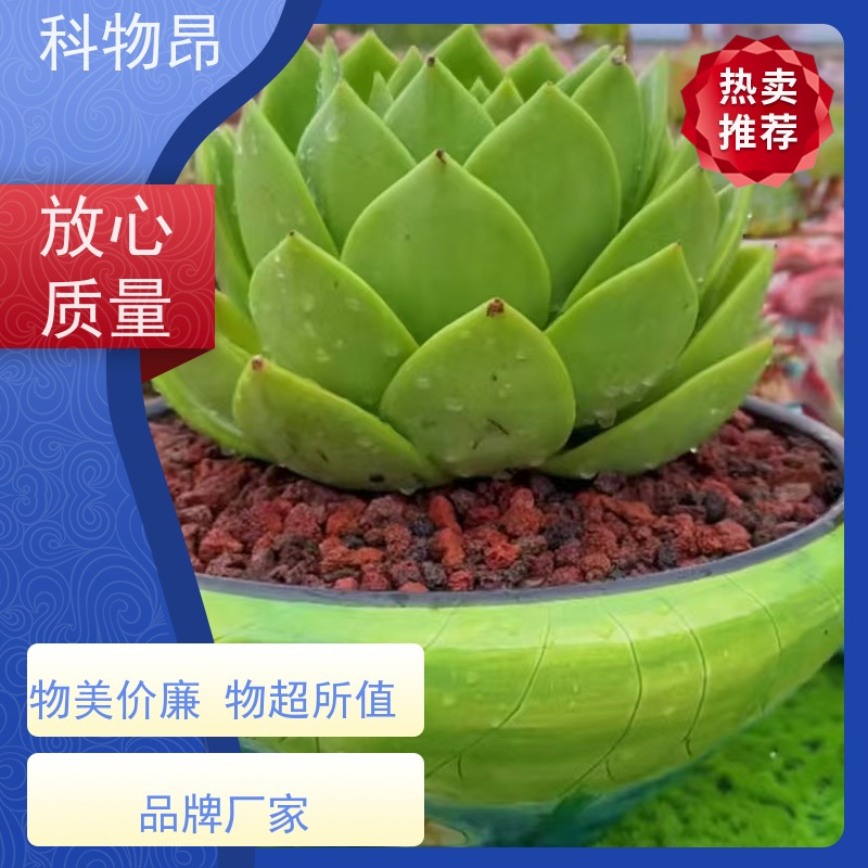 科物昂 河道治理 火山岩养殖饲料添加矿粉 型号kwa0001 货源充足