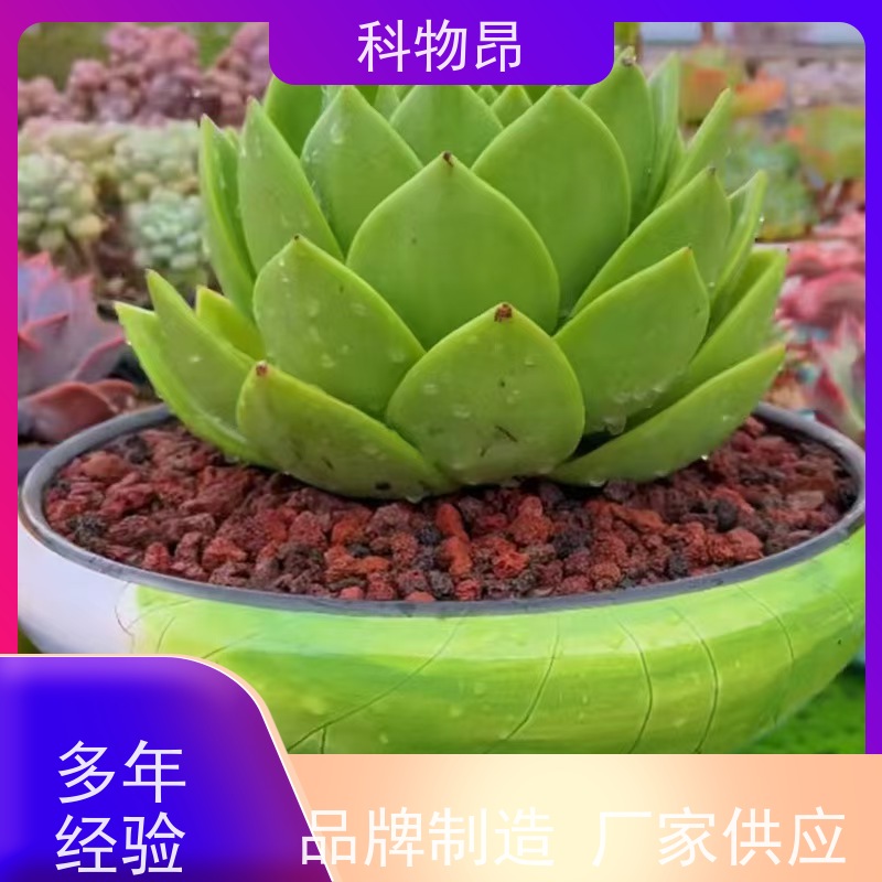 科物昂 河道治理 火山岩多肉基质填料 颜色黑、红 各种包装