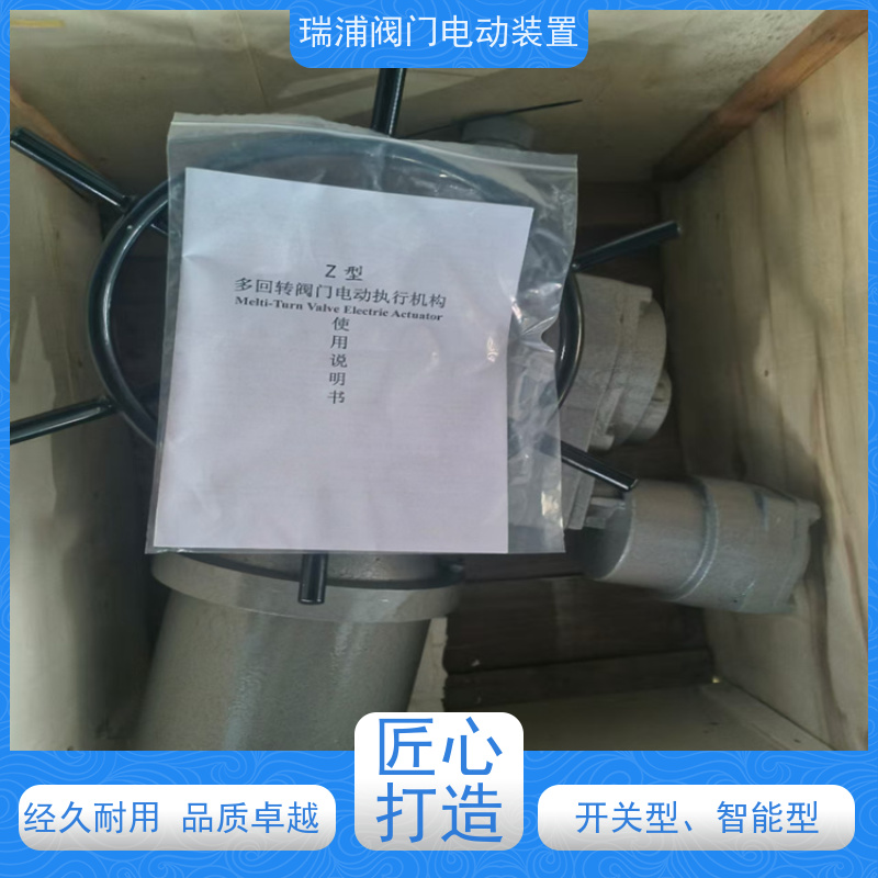 瑞浦多回转DZW30智能一体化用于闸阀、截止阀、电动执行机构