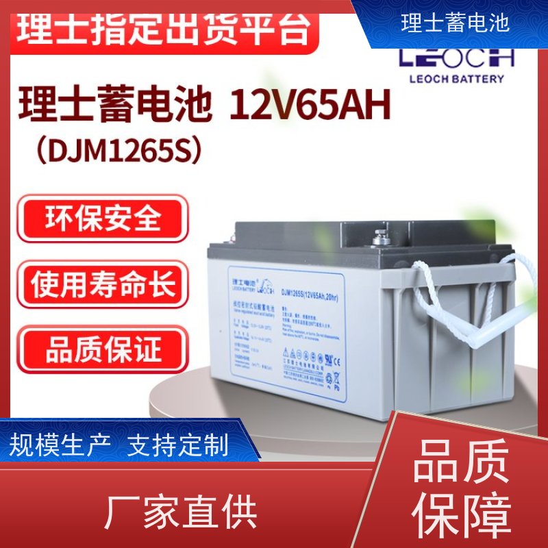 理士电池 DJM12250S  适用光伏太阳能通信 安装维护保养