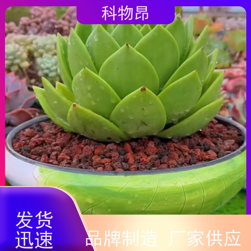 科物昂 绿化 火山岩花卉铺面石 重量可选 合法开采