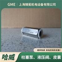 进口hawe哈威RK2E液控单向阀 止回阀汽车厂/能源设备常备