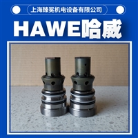 hawe哈威RHCE 4液控单向阀进口供应市政车辆