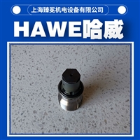 哈威RHC 11/0单向阀hawe止回阀锻压机/挤压机/钣金行业常备