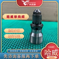 进口HAWE哈威RHCE 23液控单向阀原装有库存