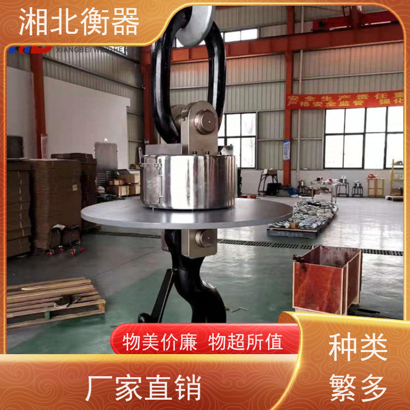 友声OCS电子吊秤1T2t3吨5吨吊磅10吨行车电子称无线吊挂钩秤吊称