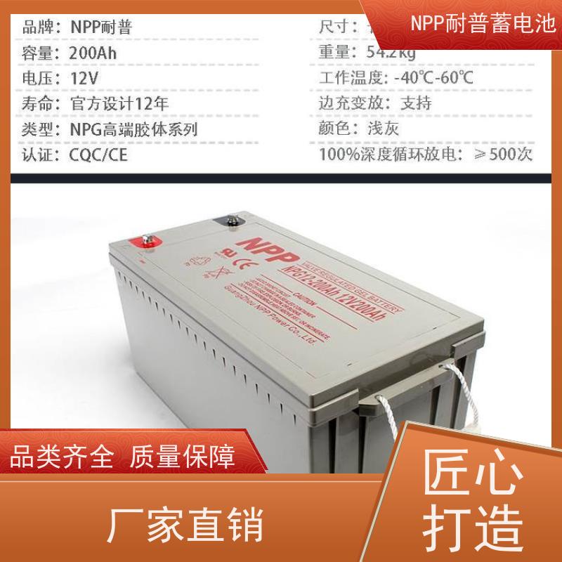 UPS不间断电源蓄电池 NPG12-38  适用光伏通信消防 质保三年