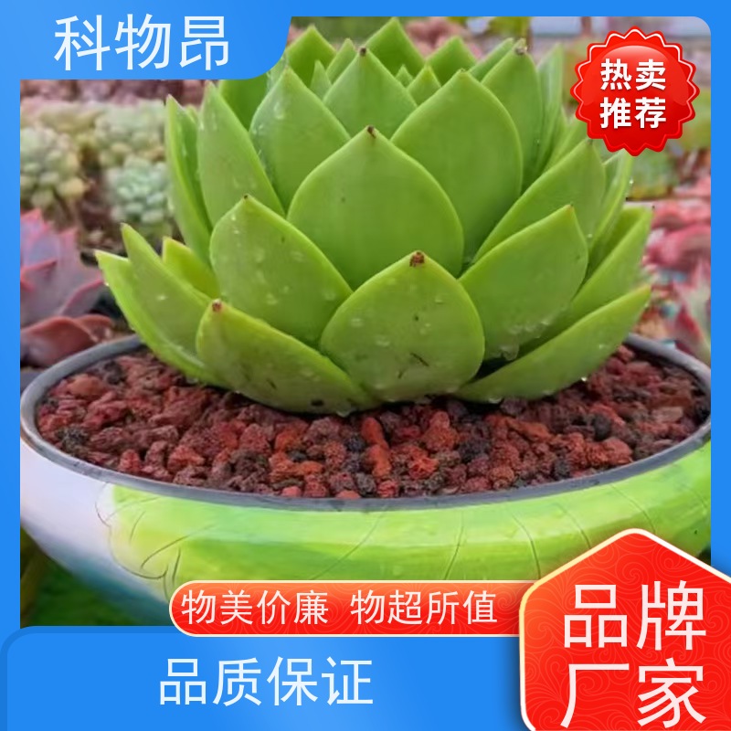 科物昂 水产 火山岩养殖饲料添加矿粉 型号kwa0001 优质矿产