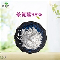  批发 茶氨酸98% 绿茶提取物