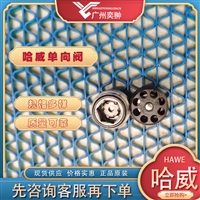 HAWE哈威RK 2单向阀原装进口RK系列有库存