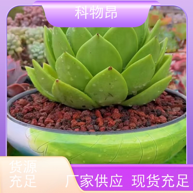 科物昂 涂料 火山岩养殖饲料添加矿粉 型号kwa0001 优质矿产