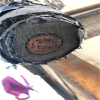 佳木斯市铜电缆回收铜电缆回收