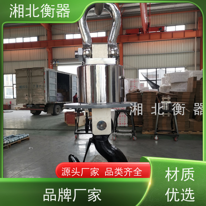 车间用直视电子吊秤20吨30t耐高温吊磅吊称吊钩称